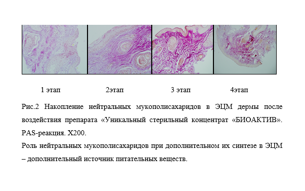 Снимок экрана (362).png