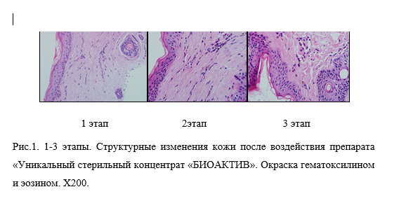 Снимок экрана (356).png