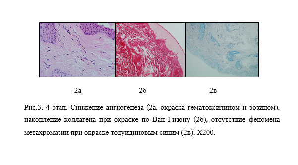 Снимок экрана (364).png