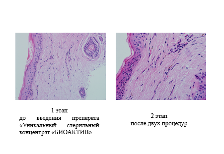 Снимок экрана (347).png